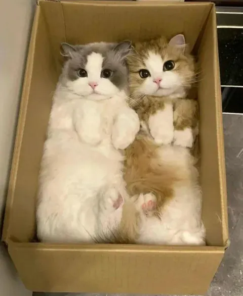 So precious! 🥹❤️