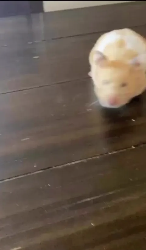 I will take one or two carrots . Max.