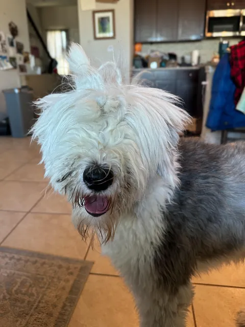 Haircut before and after