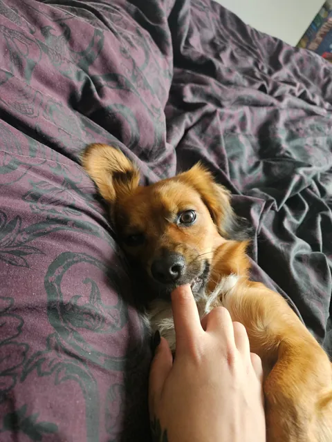 "Mother i need more attention"