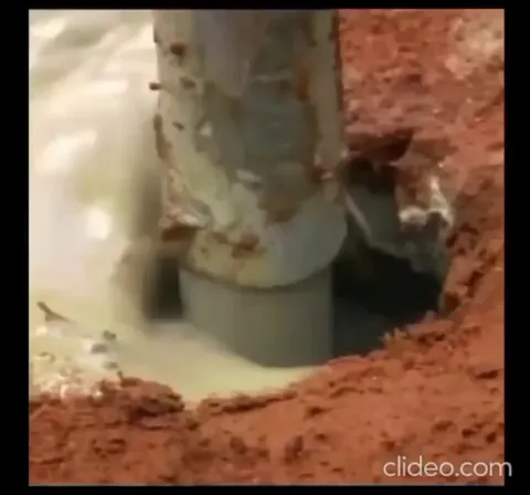 Scientists poured cement into an abandoned ant colony to reveal a vast underground city 8 meters deep, 50 m² wide, with tunnels, chambers, and ventilation. Millions of ants once built this.