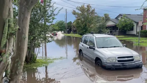 [OC] Average Jacksonville driver when it floods…