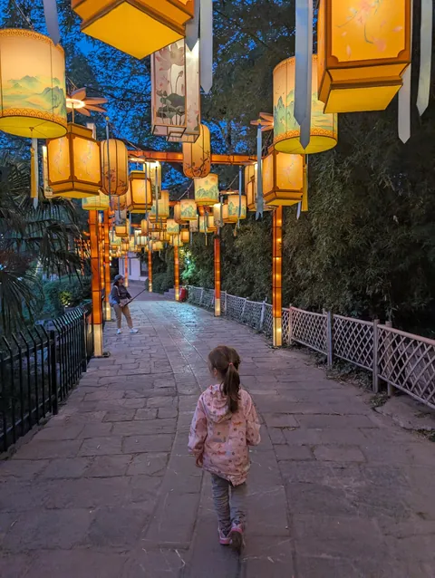 I randomly found Nanjing’s Qinhuai Lantern Festival, and it was breathtakingly beautiful