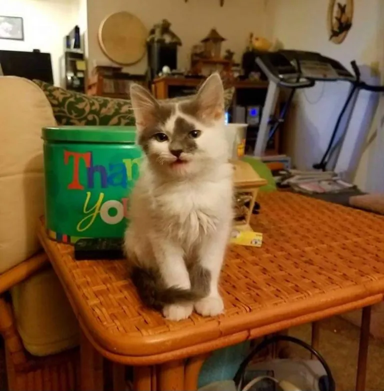 9 weeks and almost 9 years