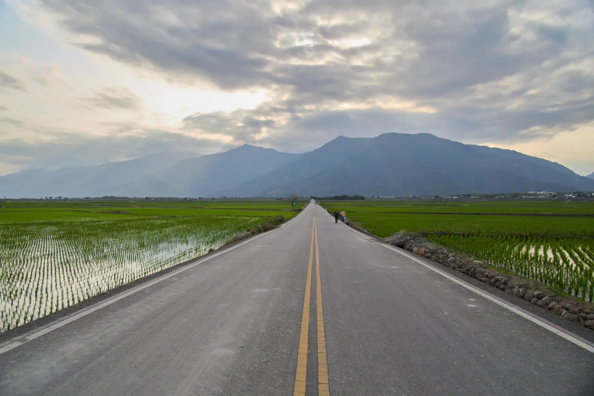 Taiwan - dense beauty