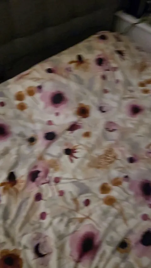 Jimily has the whole bed for himself!