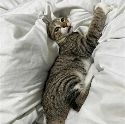 Only took a week for her to feel at home