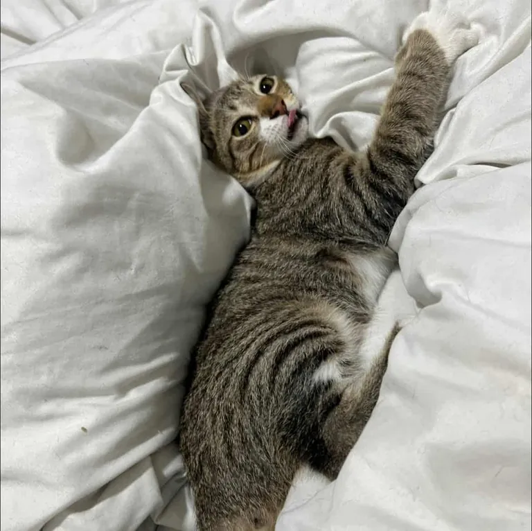 Only took a week for her to feel at home