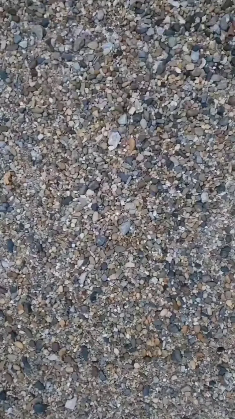 Amazing art by the Pebble Picasso