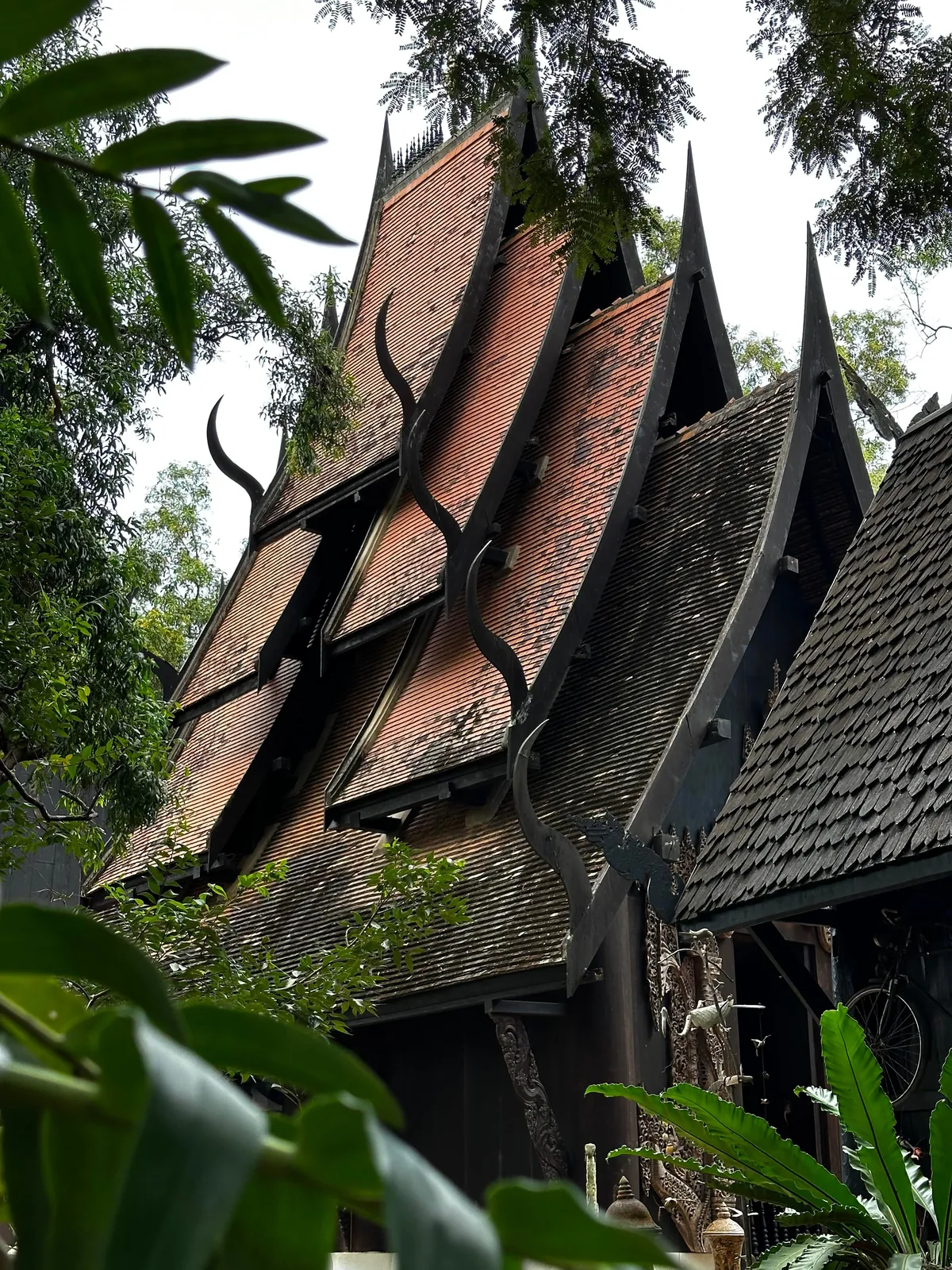 5 Days in Chiang Mai reflection. Slower Pace + Crisp Air + omg Khao Soi (curry noodle soup)