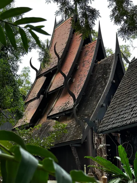 5 Days in Chiang Mai reflection. Slower Pace + Crisp Air + omg Khao Soi (curry noodle soup)