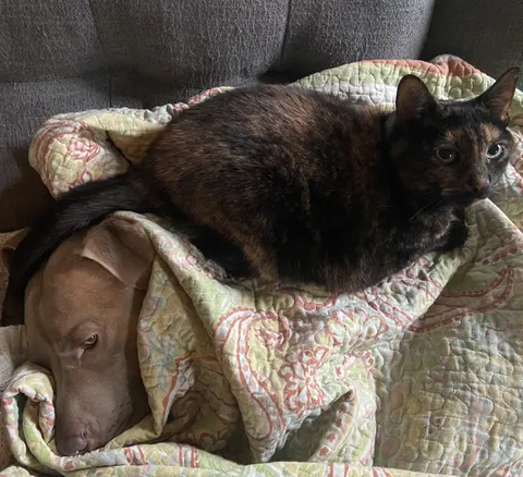 At least they’re both warm