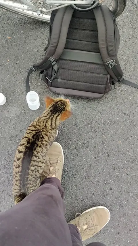 Found this little girl on my way to my booster... What should I do?