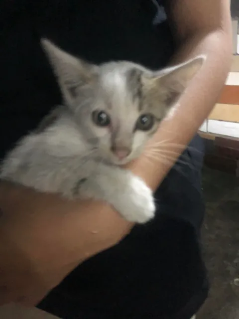 I just adopted him❤️