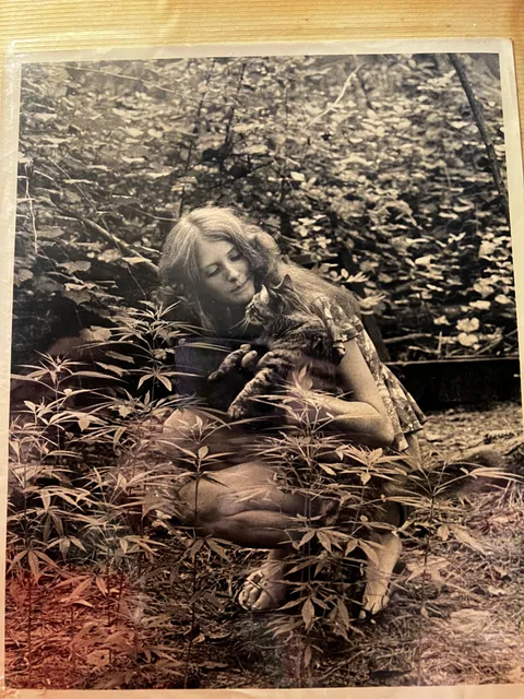 A picture of my grandmother with her cat and weed plants in the 70s