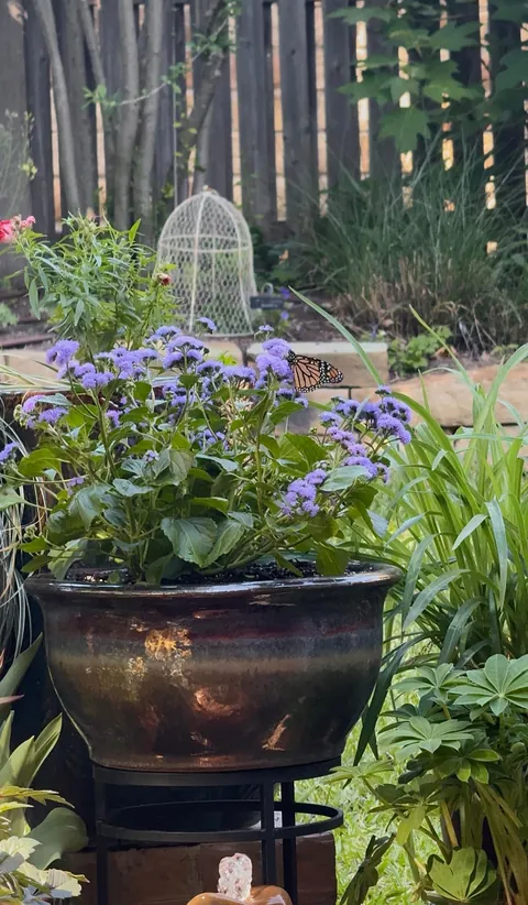 Annual garden party with my best friend!