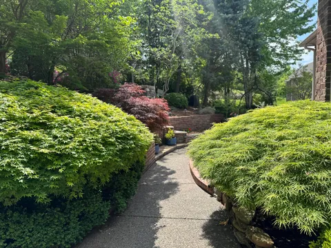 I Inherited a Japanese Garden..tons of work to maintain but worth it!