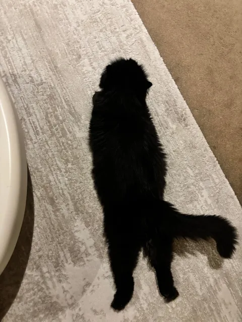 i love it when she sits like that