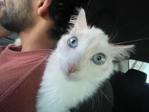 my son and his transformation pics!!