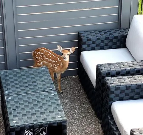 Just stopped by to say hello.