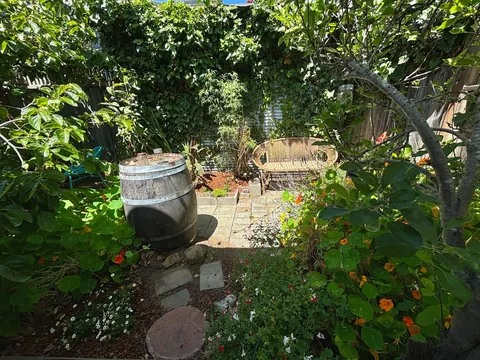 Night and day in our reading garden.