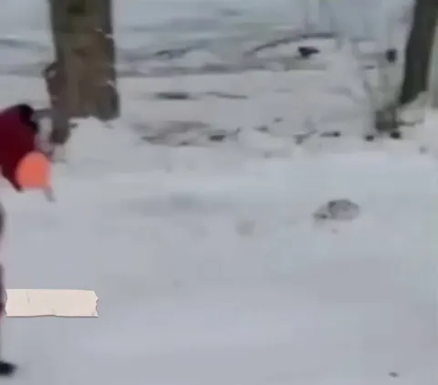 They had a celebration at school and had to wear animal costumes. It’s over and they’re on their way back home.