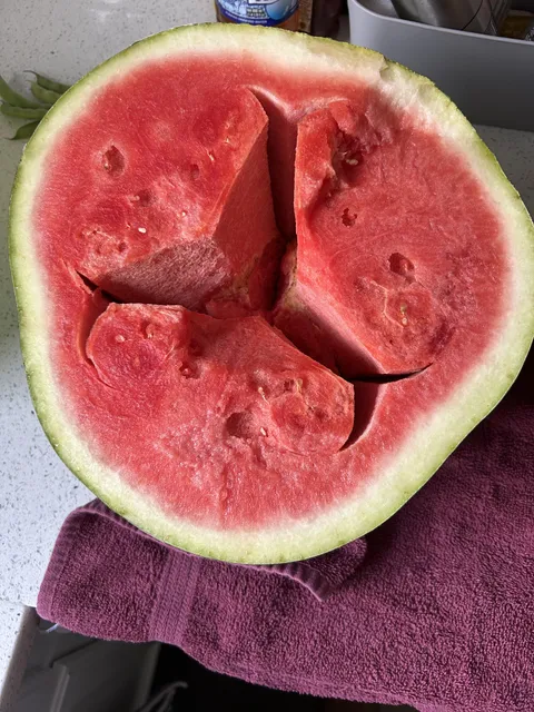 My watermelon split into a star shape before I opened it