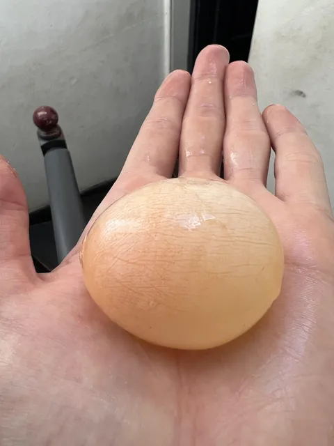 I peeled the shell off this egg without breaking the membrane