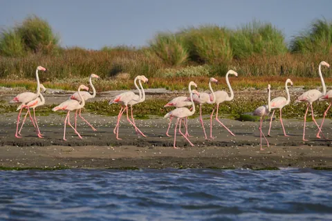 Three weeks in Northern Portugal