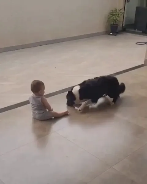 Mom heard the laughter of the baby then run over to find this