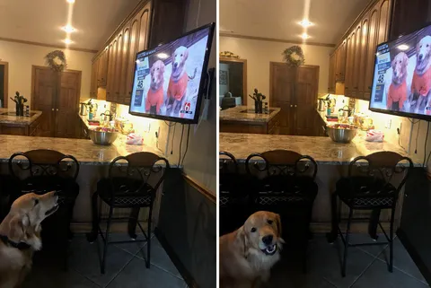 He was featured on their local news yesterday and was very excited about it