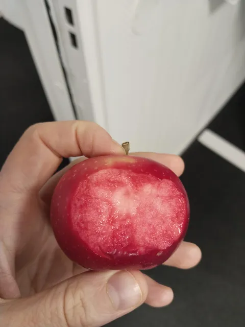 I bit into an apple with red flesh