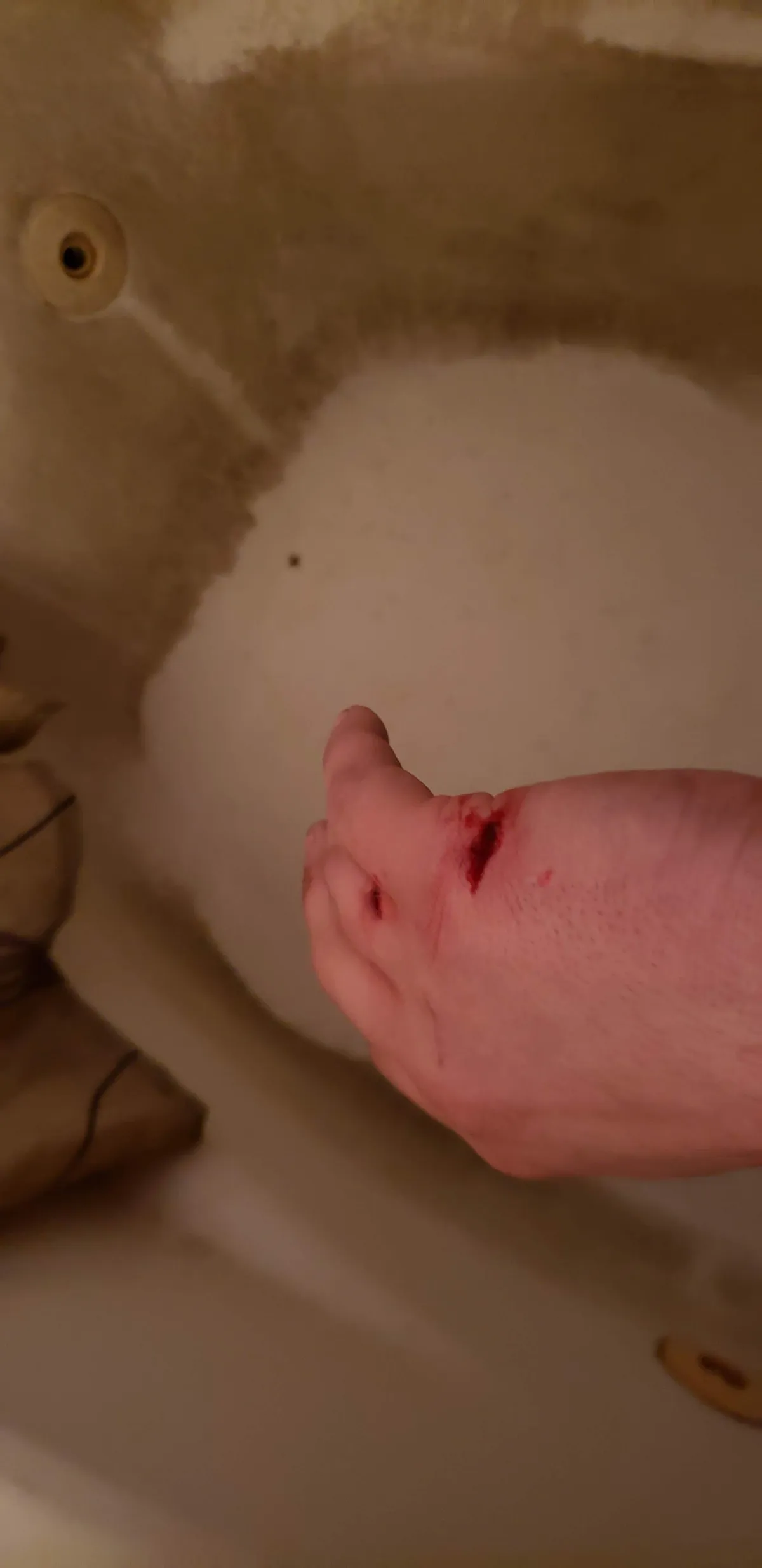 Small and Cute, does not harmless