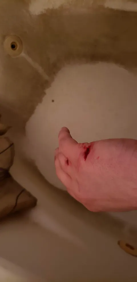 Small and Cute, does not harmless