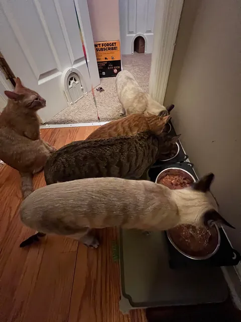 Kept the family together