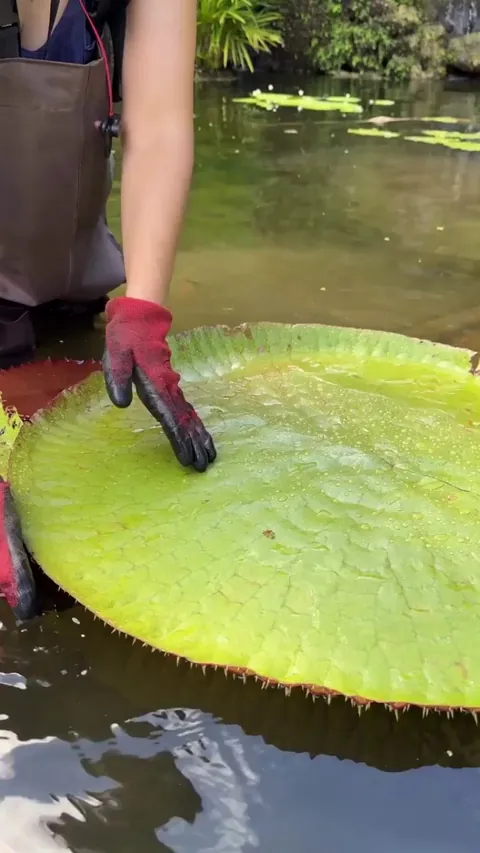 The pattern behind looks so beautiful