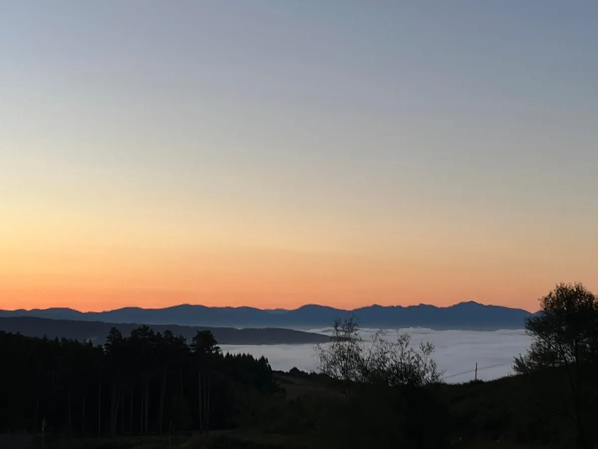 I completed the Camino de Santiago alone in Spain