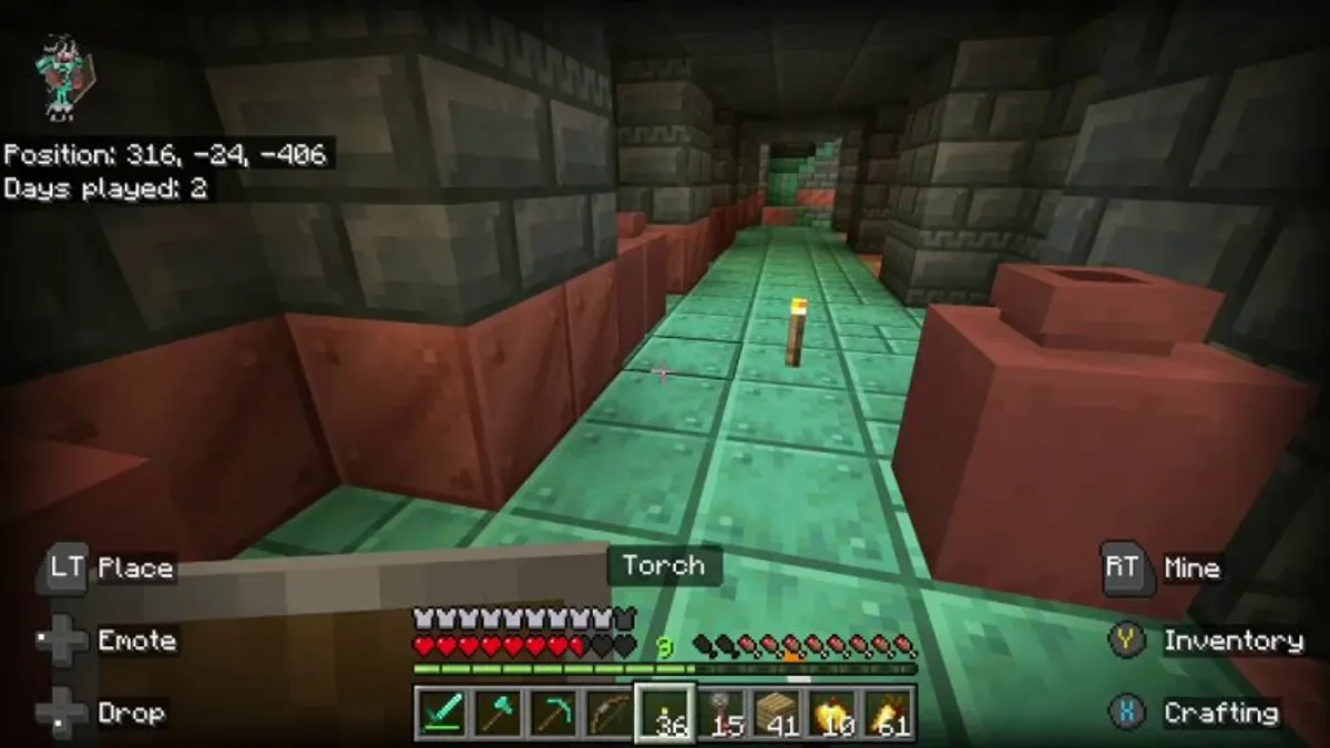 So, I accidentally shot an endermen...