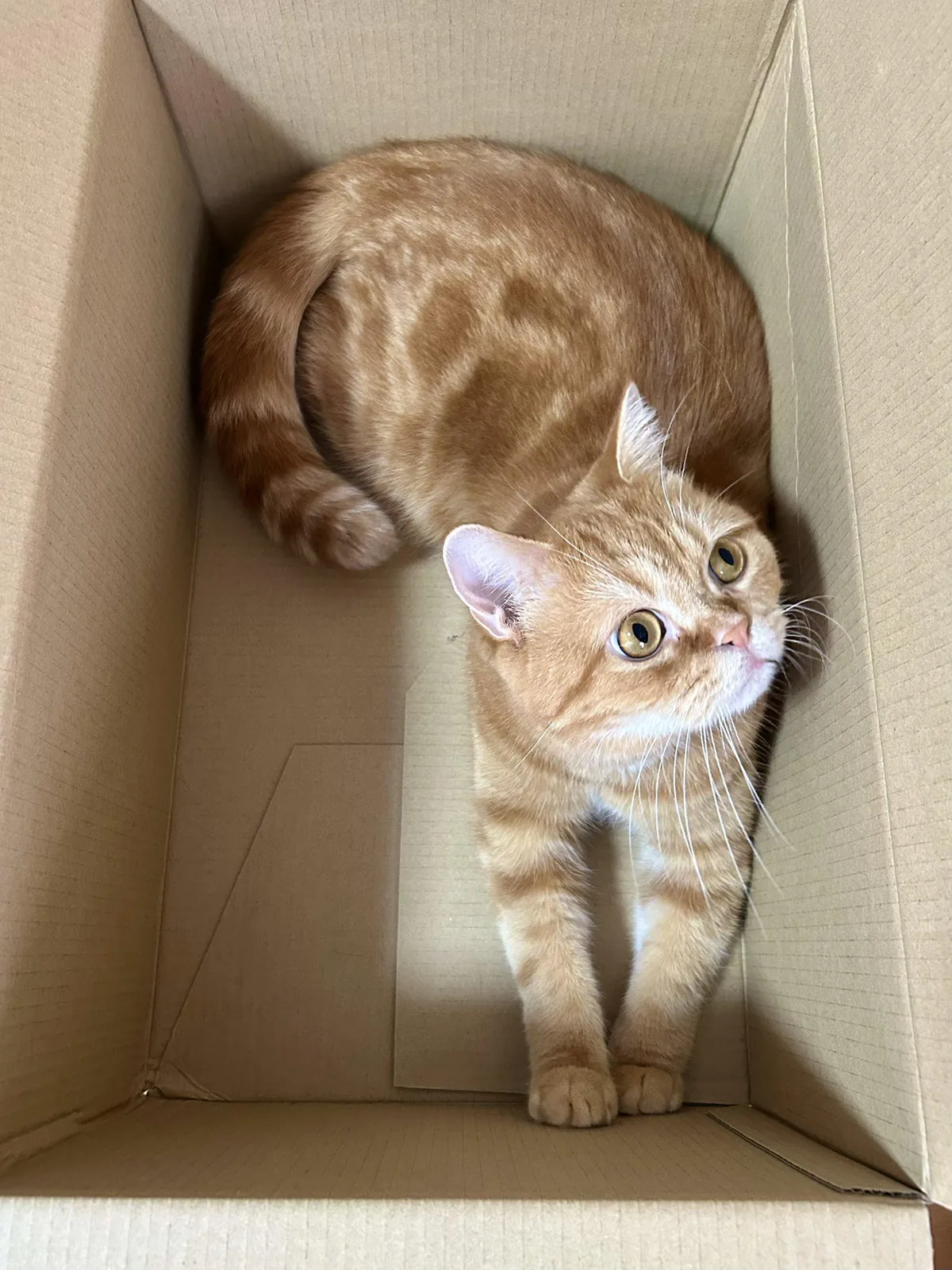 She's looking at my brother lol