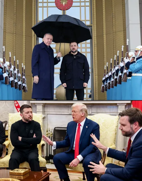 How did Erdoğan host Zelensky vs How did Trump host Zelensky