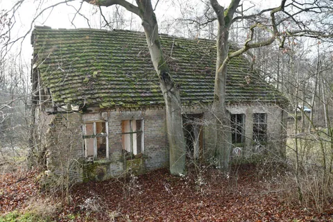 Abandoned house somewhere between Oksza and Boguszyniec, Poland.