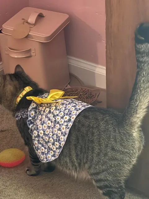 Why is she so short? She’s 1 years old now.