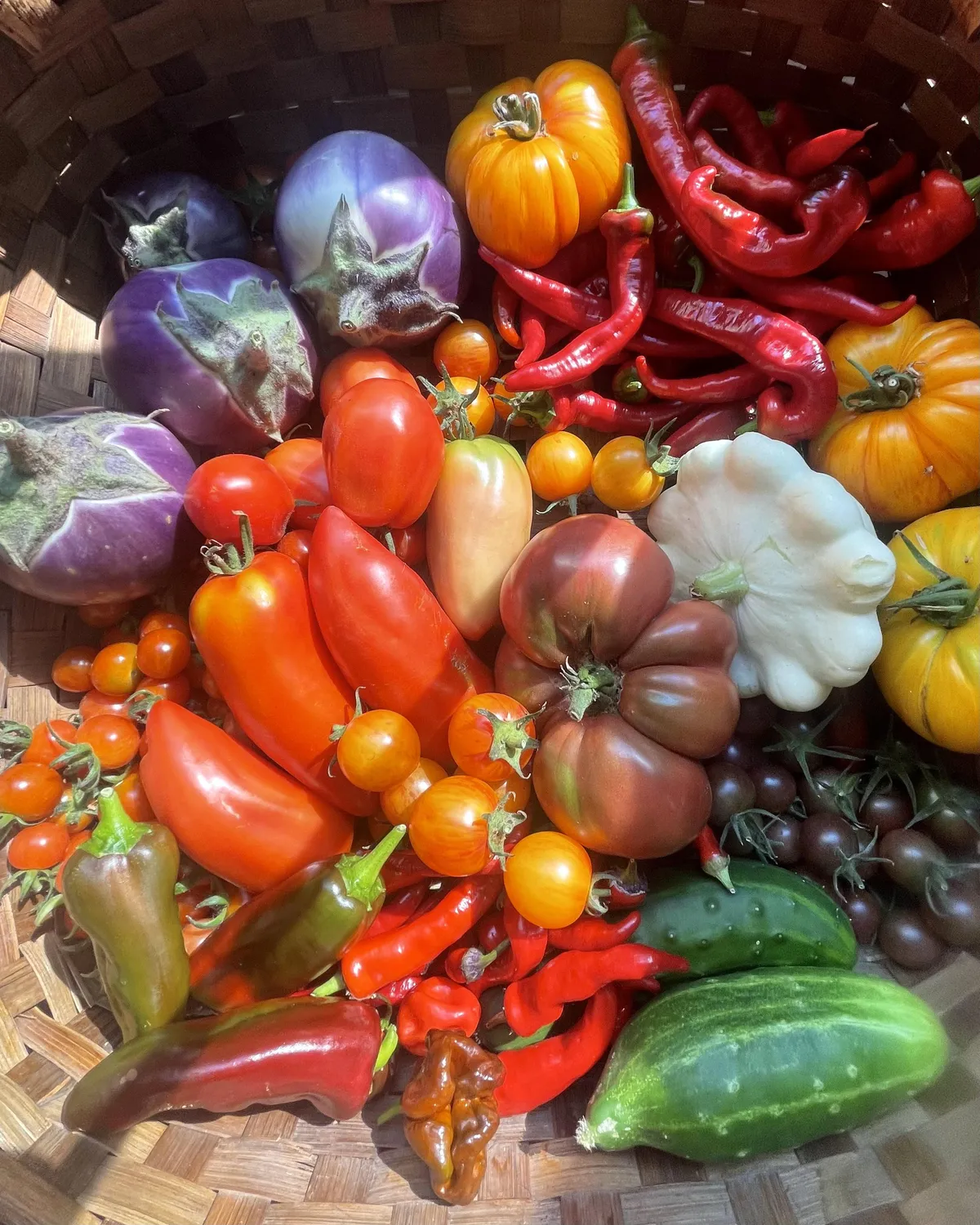 Probably our best harvest yet