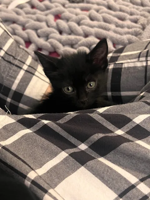 If you’ve had a bad day, just look at my tiny void. Hopefully it gets better.