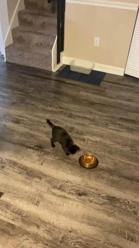 What does this mean?