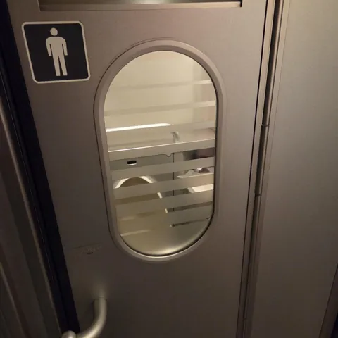 On Japan's bullet train the men's urinal door has a see-through window...