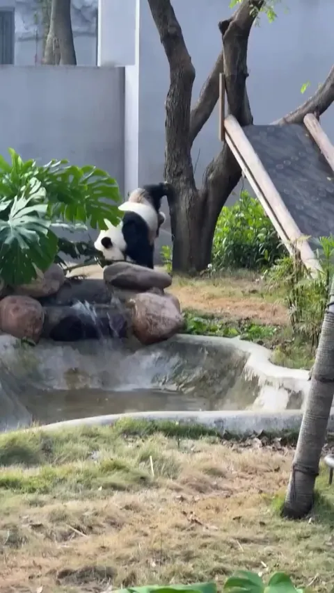 Now that's a way of doing it