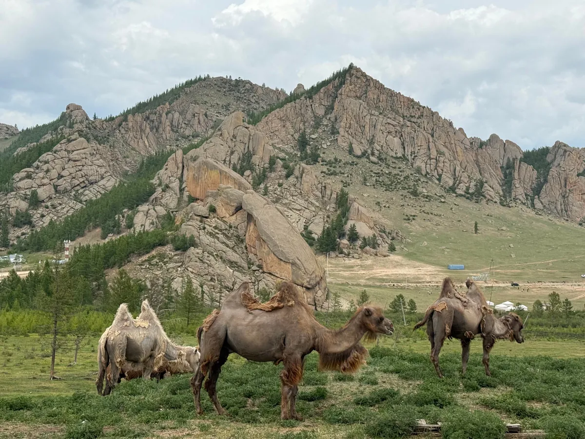 Mongolia trip report &amp; pics
