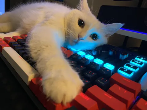 What’s a thing that you call your little rascal that makes zero sense?