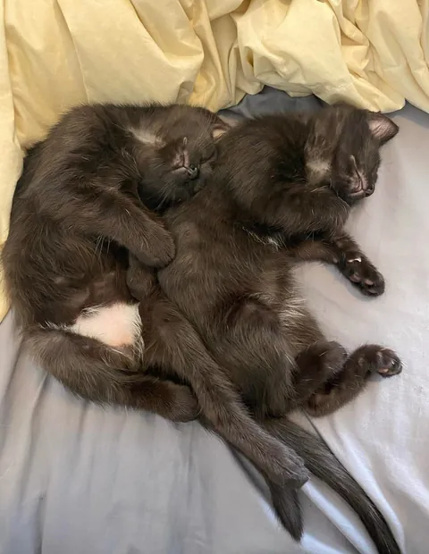 I love my boys more than anything in the world